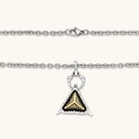 Silver cable-chain necklace with a black triangle pendant featuring gold all-seeing eye engraving and claw-tip frame, 316L stainless steel.