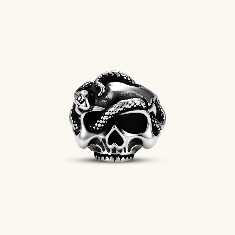 Silver stainless steel ring with bold skull face and coiled snake wrapping the crown, blackened recessed details.