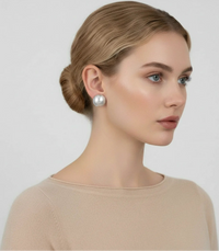 Brushed Silver Dome Earrings